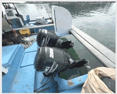  2025Ÿ��5318 ���� ������ ������ ������ 1277-4      ���ڰ��