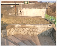  2025Ÿ72   α 197-1       ð