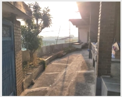  2025Ÿ72   α 197-1       ð