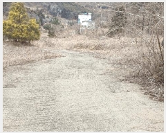  2025Ÿ330  õ   8-29      â