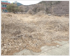  2025Ÿ330  õ   8-29      â