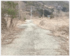  2025Ÿ330  õ   8-29      â