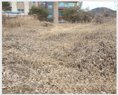  2025Ÿ330  õ   8-29      â