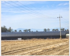  2025Ÿ��334 ���� ���ﱺ ������ ���߸� 3261-31      �������