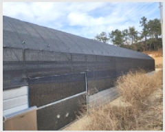  2025Ÿ��334 ���� ���ﱺ ������ ���߸� 3261-31      �������