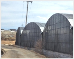  2025Ÿ��334 ���� ���ﱺ ������ ���߸� 3261-31      �������