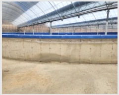  2025Ÿ��334 ���� ���ﱺ ������ ���߸� 3261-31      �������