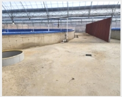  2025Ÿ��334 ���� ���ﱺ ������ ���߸� 3261-31      �������