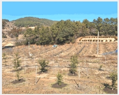  2025Ÿ��352 ���� ���ﱺ ���ϸ� ��縮 559      ����(��1)���