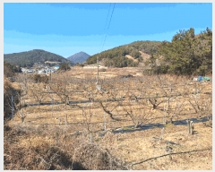  2025Ÿ��352 ���� ���ﱺ ���ϸ� ��縮 559      ����(��1)���