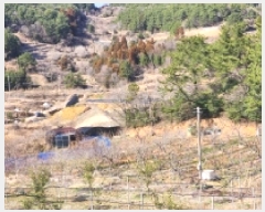  2025Ÿ��352 ���� ���ﱺ ���ϸ� ��縮 559      ����(��1)���