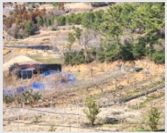  2025Ÿ��352 ���� ���ﱺ ���ϸ� ��縮 559      ����(��1)���