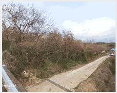  2025Ÿ364  ʱ ô  830-11      ð