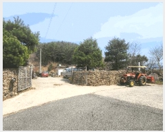  2025Ÿ388  õ  븮 664-8      ð