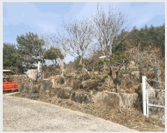  2025Ÿ388  õ  븮 664-8      ð