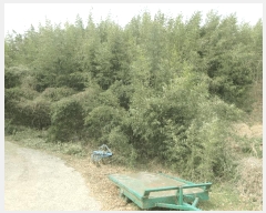  2025Ÿ400    縮 201-4      ()