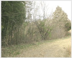  2025Ÿ400    縮 201-4      ()