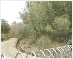  2025Ÿ400    縮 201-4      ()