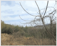  2025Ÿ400    縮 201-4      ()