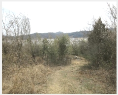  2025Ÿ400    縮 201-4      ()