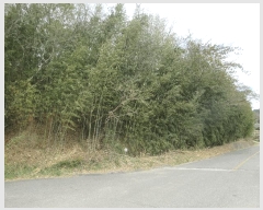  2025Ÿ400    縮 201-4      ()