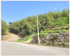  2025Ÿ400    縮 201-4      ()