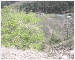  2025Ÿ��406 ���� ����� ������ ���ɸ� 32-1      ����(��1)���