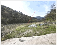  2025Ÿ413  ﱺ θ  819      (1)