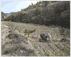  2025Ÿ413  ﱺ θ  819      (1)