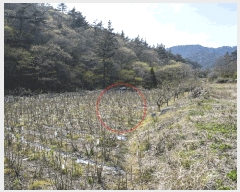  2025Ÿ413  ﱺ θ  819      (1)