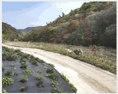  2025Ÿ413  ﱺ θ  819      (1)