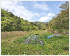  2025Ÿ413  ﱺ θ  819      (1)