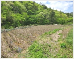  2025Ÿ413  ﱺ θ  819      (1)