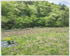  2025Ÿ413  ﱺ θ  819      (1)