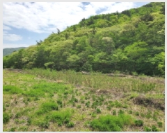  2025Ÿ413  ﱺ θ  819      (1)