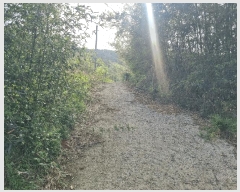  2025Ÿ424    곲 313-2      (1)