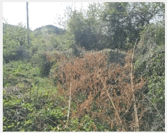  2025Ÿ424    곲 313-2      (1)