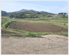  2025Ÿ424    곲 313-2      (1)