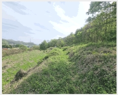  2025Ÿ424    곲 313-2      (1)