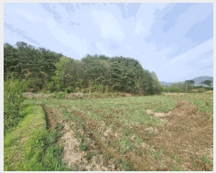  2025Ÿ424    곲 313-2      (1)