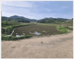  2025Ÿ424    곲 313-2      (1)