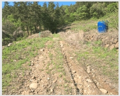  2025Ÿ442  õ  1321-33       (1)