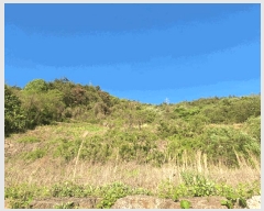  2025Ÿ442  õ  1321-33       (1)