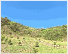  2025Ÿ442  õ  1321-33       (1)