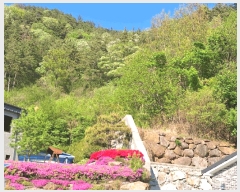  2025Ÿ442  õ  1321-33       (1)