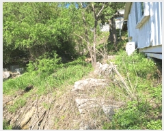  2025Ÿ442  õ  1321-33       (1)