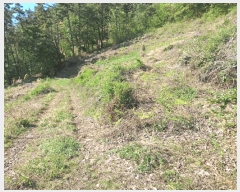  2025Ÿ442  õ  1321-33       (1)