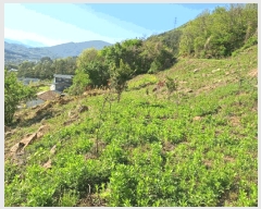  2025Ÿ442  õ  1321-33       (1)