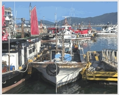  2025Ÿ472  ﱺ         ڰ