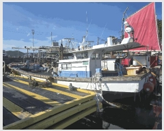  2025Ÿ472  ﱺ         ڰ